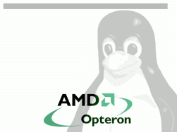 amd